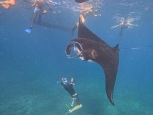 snorkeling nusa penida 13_0009_2023-08-25
